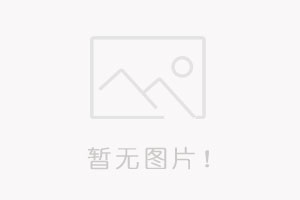 赋能高效发电・筑牢安全防线— 泰诺特为江投国华信丰发电 660MW 超超临界机组提供金属检测解决方案